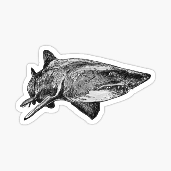 Mark the Grey Nurse Shark Sticker