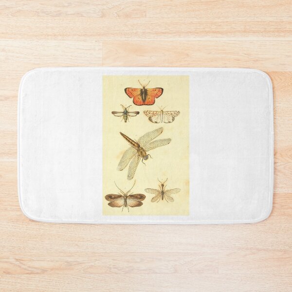 Item preview, insect study illustration designed and sold by yourlocalltyler.