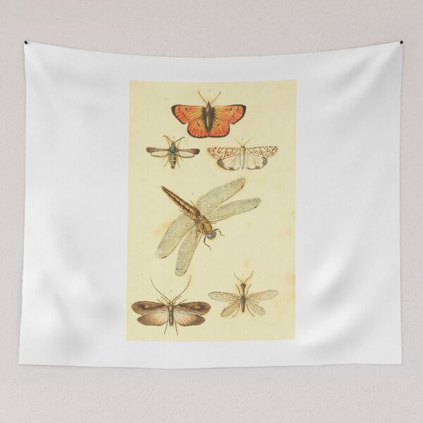 Item preview, insect study illustration designed and sold by yourlocalltyler.