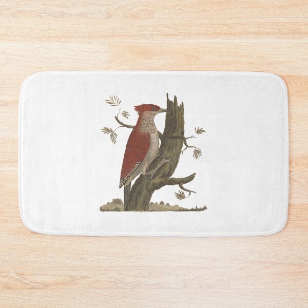 Item preview, Woodpecker Bird Study, illustration designed and sold by yourlocalltyler.