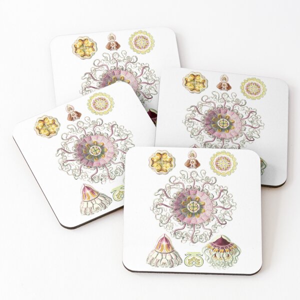 Item preview, Ernst Haeckel Peromedusae Artforms in Nature  designed and sold by digitalvintage.