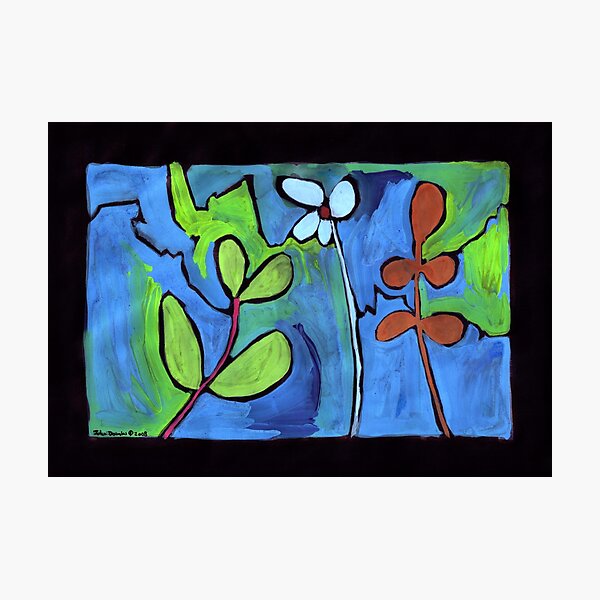 Midnight Garden cycle7 7 Photographic Print