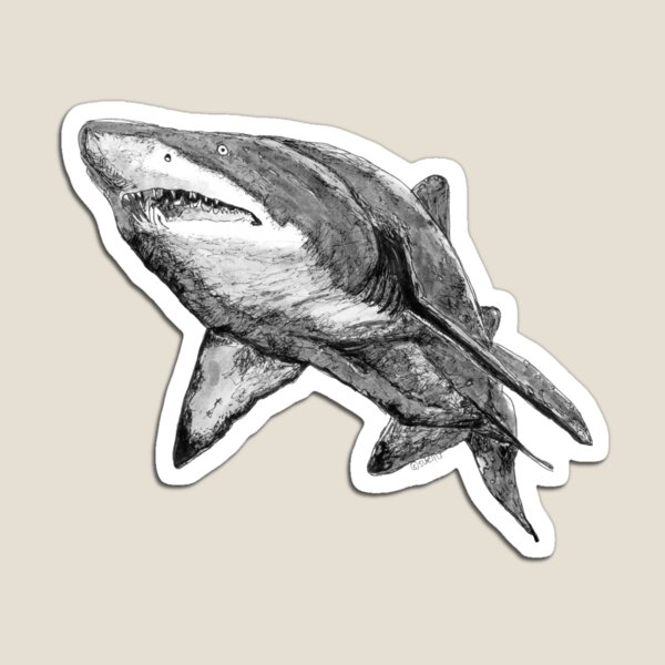Nancy the Grey Nurse Shark Magnet