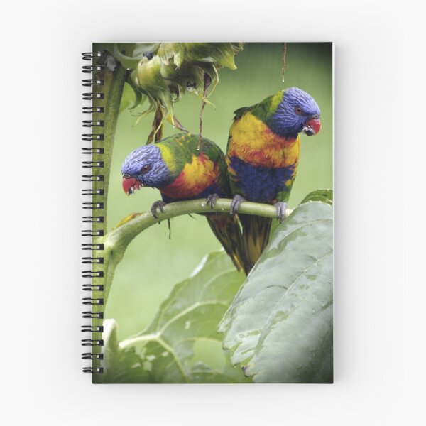 Item preview, the parrot's cafe  designed and sold by Clare Colins.