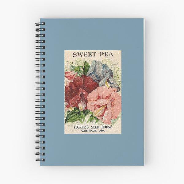Item preview, Vintage SWEET PEA Seed Packet Artwork designed and sold by FuzzyHoney.
