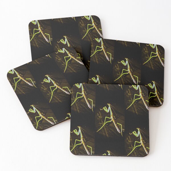 Item preview, Praying Mantis designed and sold by GrudleBay.