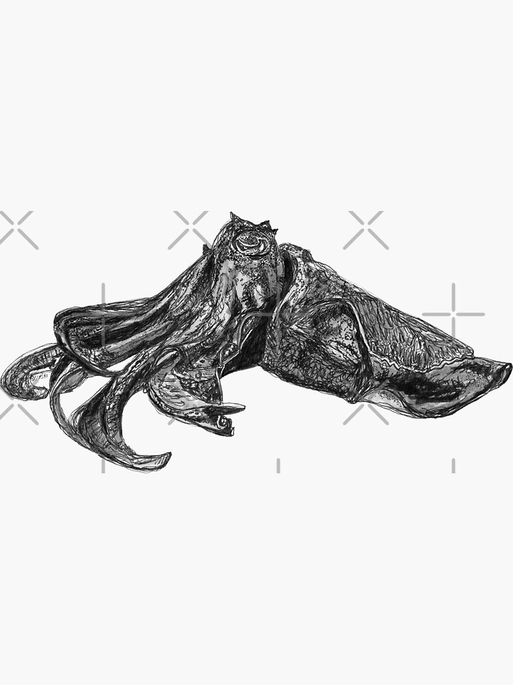Clive the Cuttlefish by Wildcard-Sue