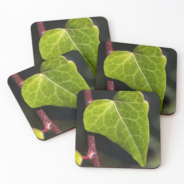 Item preview, Green Ivy Leaf designed and sold by Joy Watson - Natural Light Photography .
