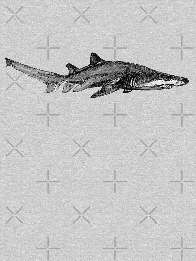 Trev the Grey Nurse Shark by Wildcard-Sue