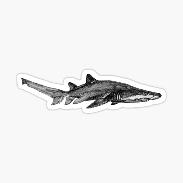 Trev the Grey Nurse Shark Sticker