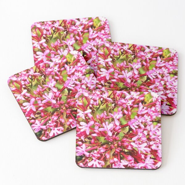 Item preview, ALLIATA 1 pink valerian flower garden nature plant star macro photo designed and sold by dragonemma.