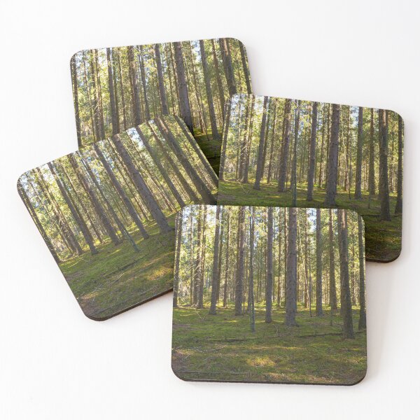 Item preview, Sunlight and shades of spring fir forest designed and sold by yarvin13.