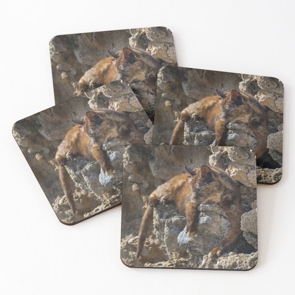 Item preview, Afternoon Snooze designed and sold by Alexandra Lavizzari.