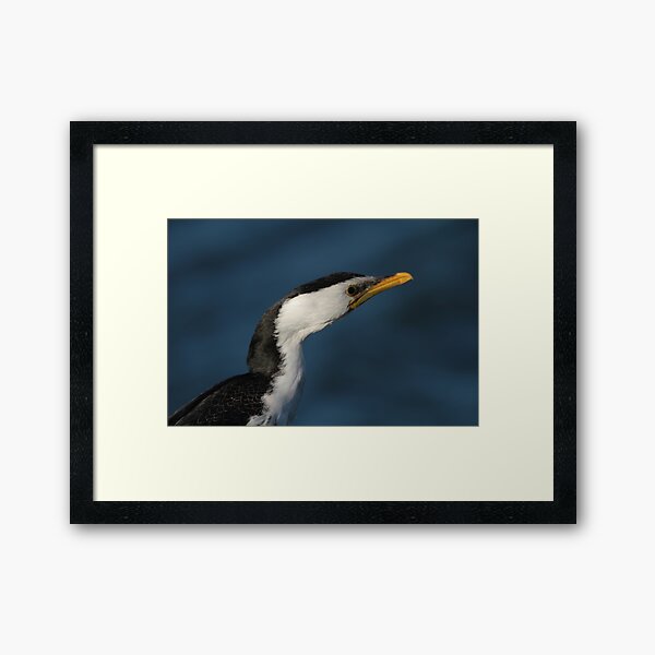 Item preview, Coles Bay Fisherman designed and sold by MiksPics.