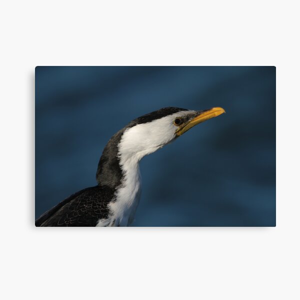 Item preview, Coles Bay Fisherman designed and sold by MiksPics.