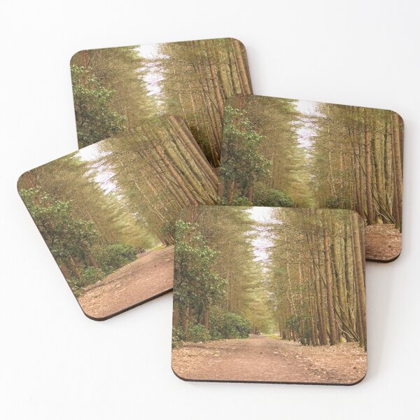 Item preview, The clearest way into the Universe is through a forest wilderness designed and sold by santoshputhran.
