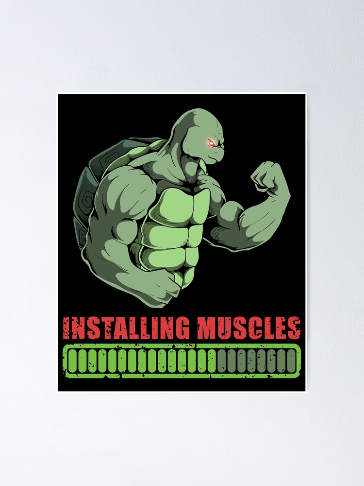 Turtle Muscle Growth Teenage Mutant Ninja Turtle Anatomy