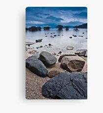 Mangroves Canvas Print