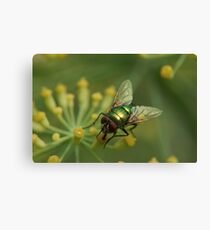 GRÜN FLOWER Canvas Print
