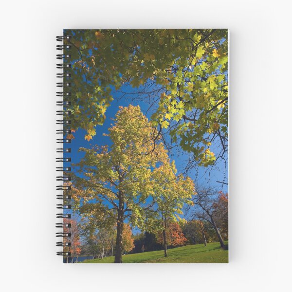 Item preview, Maple Tree Framed designed and sold by Adam Bykowski.