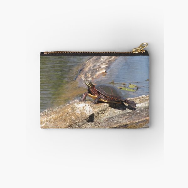 Item preview, Painted Turtle designed and sold by caybeach.