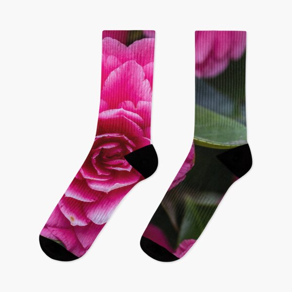 Item preview, Pink camellia designed and sold by Nicole Bleck.
