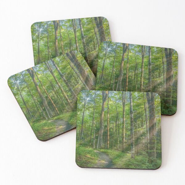 Item preview, Sunbeams in Green Forest designed and sold by Brooke T Ryan Photographic Art.