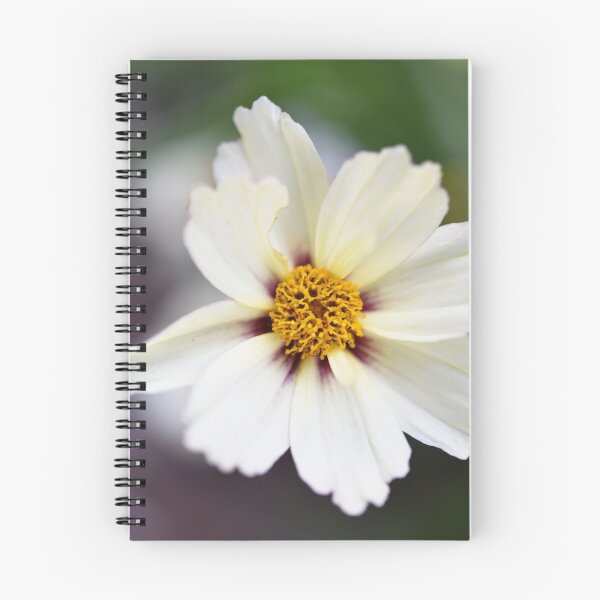 Item preview, An Annual Beauty pops up in the Garden designed and sold by imaginethis.