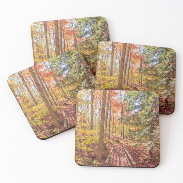 Item preview, Forest Bridge designed and sold by Brooke T Ryan Photographic Art.