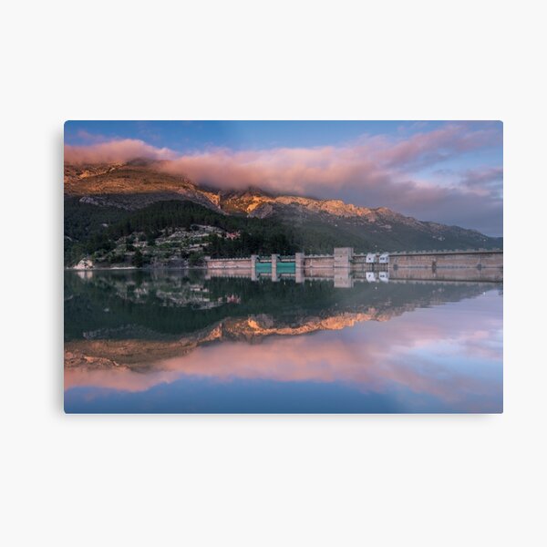 Metal Print