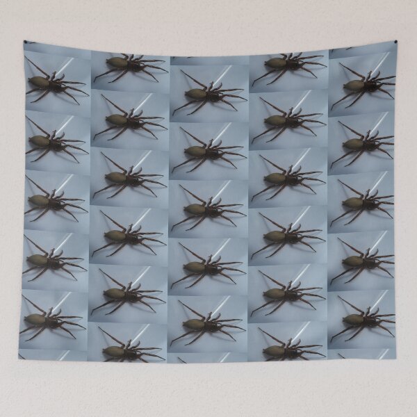 Item preview, Spider designed and sold by Ana Belaj.