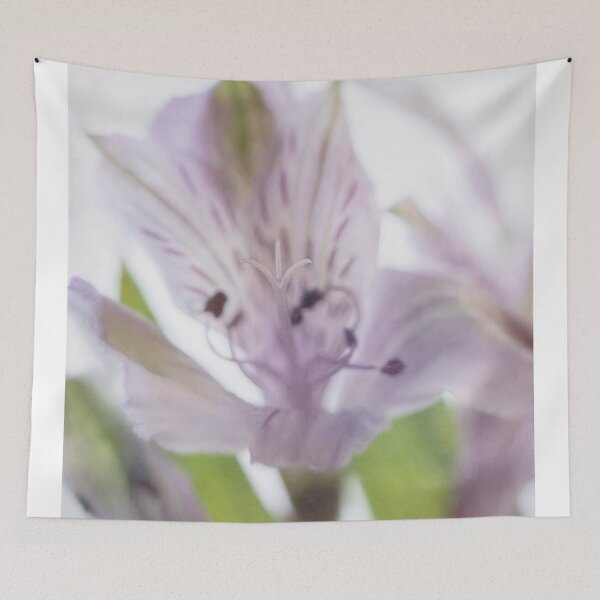 Item preview, Lavender LightBox Alstromeria designed and sold by TLWilsonPhoto.