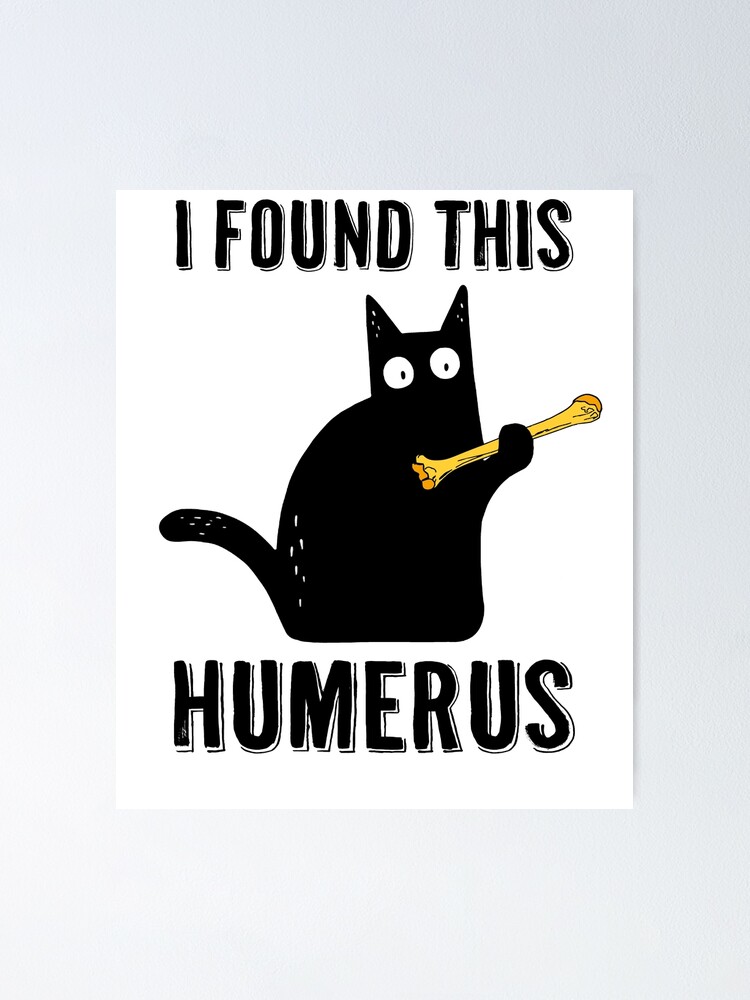 i found this humerus cat