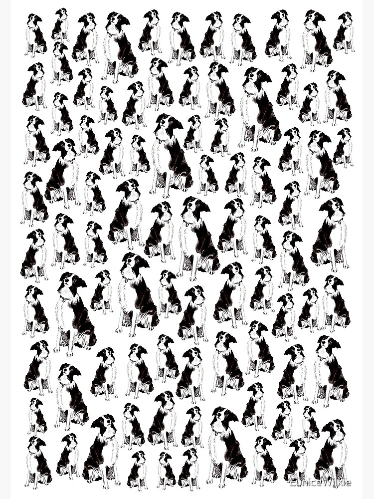 Thumbnail 2 of 2, Greeting Card, Border Collies Galore - Blank Greeting Card designed and sold by EuniceWilkie.