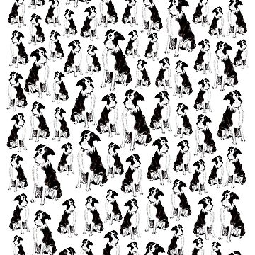 Artwork thumbnail, Border Collies Galore - Blank Greeting Card by EuniceWilkie