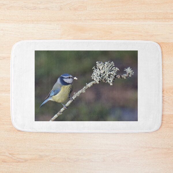 Item preview, Blue Tit and Lichen designed and sold by Holmewood.
