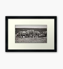 The Patriarch Framed Print