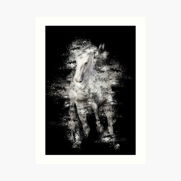 Andalusier springend Kunstdruck