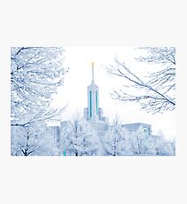 Mt. Timpanogos Temple Frosted Trees 20x30 Photographic Print