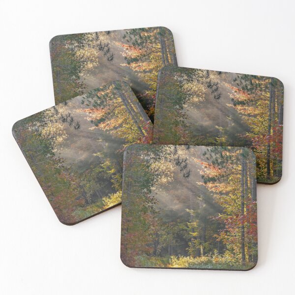 Item preview, Sunlight through the forest designed and sold by Simpsonwildlife.
