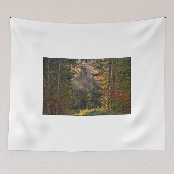 Item preview, Sunlight through the forest designed and sold by Simpsonwildlife.