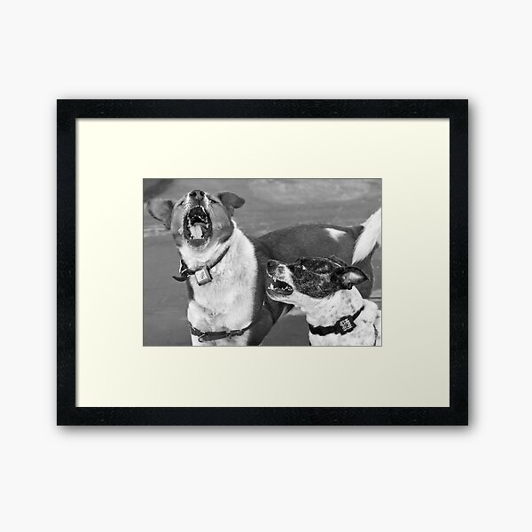 You Cheated On Me! Framed Art Print