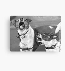 You Cheated On Me! Metal Print