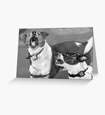 You Cheated On Me! Greeting Card