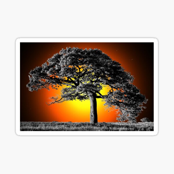 Item preview, Monochrome Tree With Coloured Sun designed and sold by robspencer.