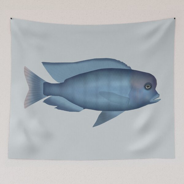 Item preview, Blue Dolphin Cichlid designed and sold by fishfolkart.