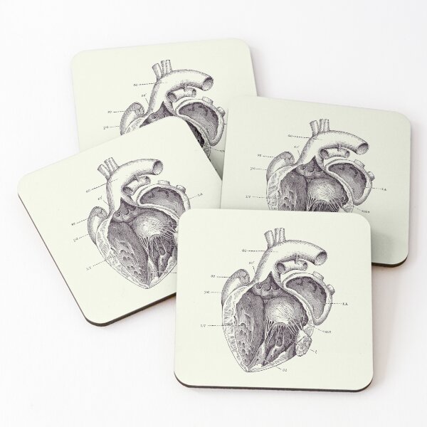 Item preview, Internal Human Heart Diagram - Anatomy Poster 2 designed and sold by VAposters.