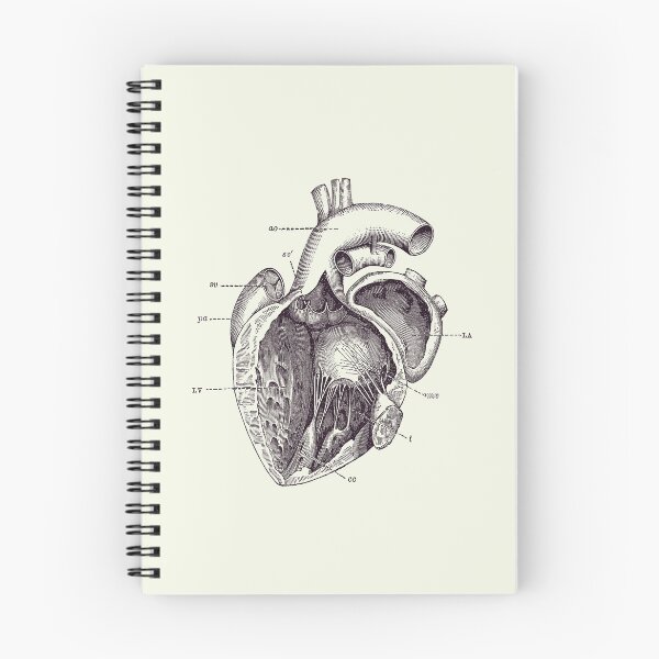 Item preview, Internal Human Heart Diagram - Anatomy Poster 2 designed and sold by VAposters.
