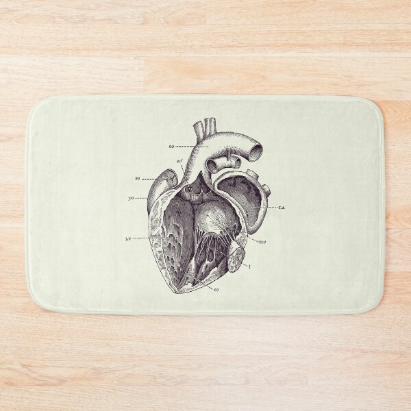 Item preview, Internal Human Heart Diagram - Anatomy Poster 2 designed and sold by VAposters.