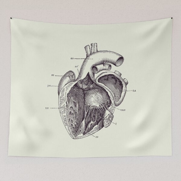 Item preview, Internal Human Heart Diagram - Anatomy Poster 2 designed and sold by VAposters.
